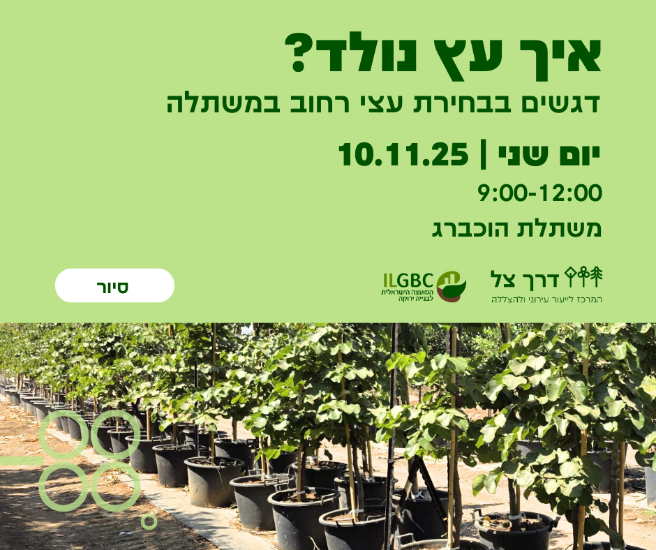 סיור איך עץ נולד